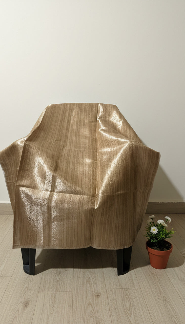 Warm Beige Banaras Tussar Silk Saree