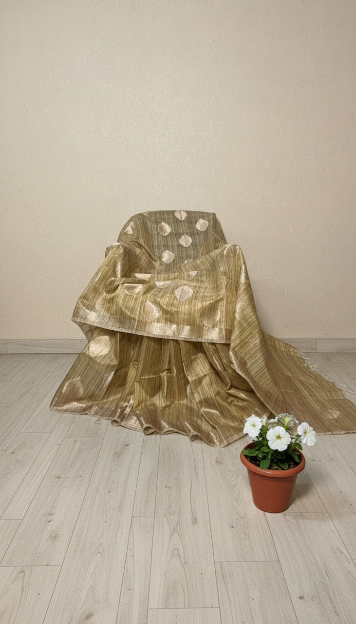 Warm Beige Banaras Tussar Silk Saree